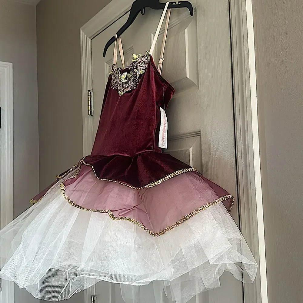 ELISSE Womens Ballet Velvet Platter Tutu Dress!